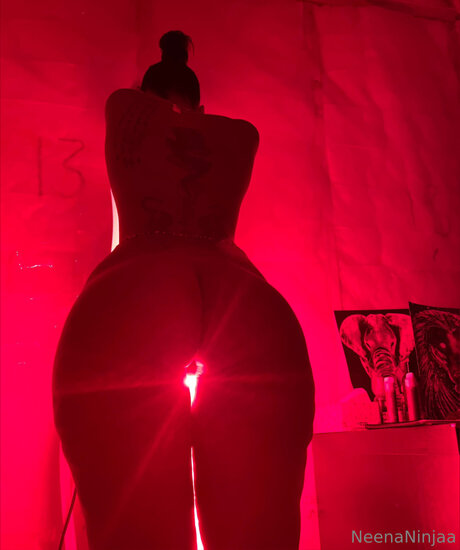 Ninja_ セックススター 写真