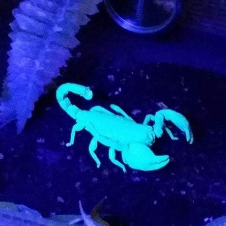 BennyS 最高のモデル アーカイブ