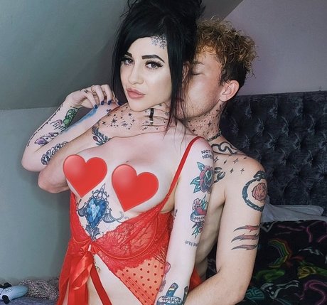 Vivalaholli 無料スター 画像