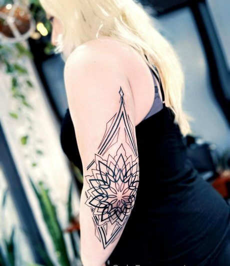 p enrose 裸のスター 画像