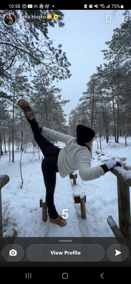 Erna Husko ホットスター 写真