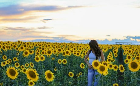 Lauren Boebert 最高の女優 画像