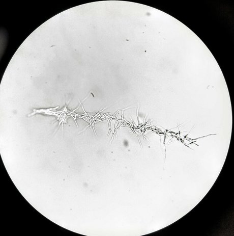 本物の熟女OnlyFans 無料セクシー 写真