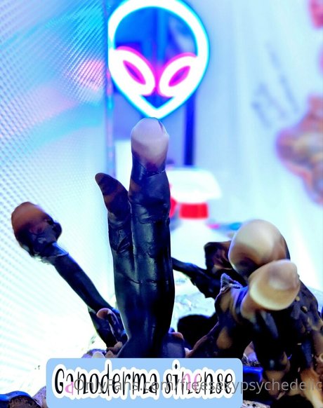 freesexypsychedelic ヌードモデル 写真