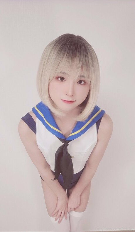 cd lua モデル ギャラリー