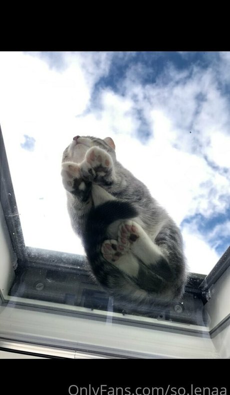 so lenaa ポルノスター 裸 写真