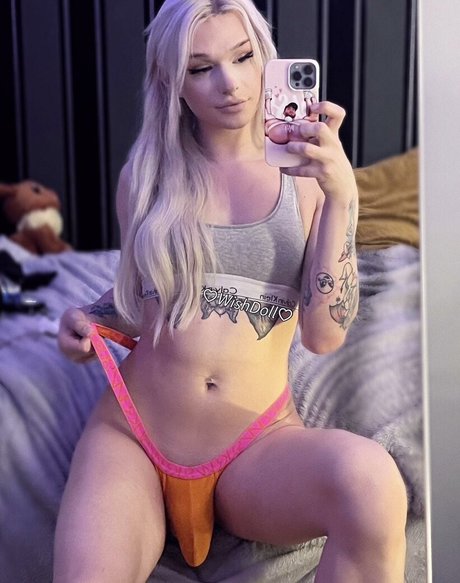 wishdoll 美しいスター 写真