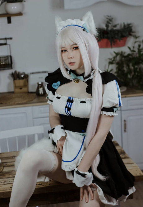 visagefox スター 写真