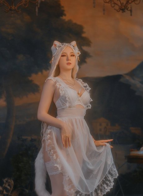 visagefox かわいいスター 写真