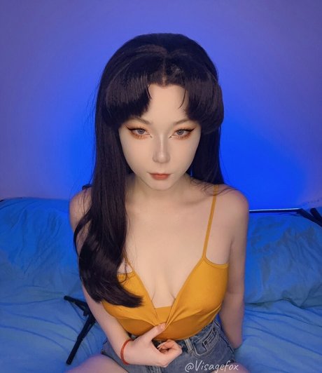 visagefox profile image