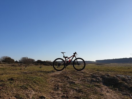 ntonio78 トップモデル 写真