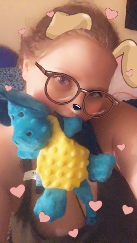 Nova The Puppy かわいいスター 写真