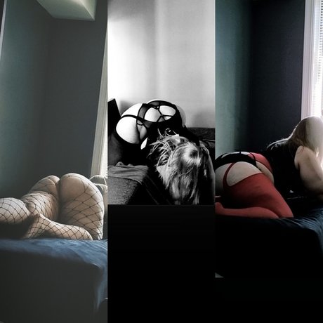 Norse BBW ポルノスター ベスト 写真