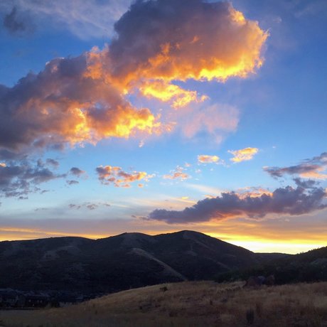 Alexander Mecum 完璧なスター 画像