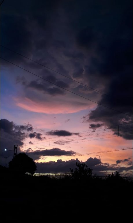 Alondra Su rez ポルノスター 高品質 ギャラリー