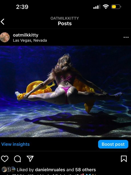 internet angel with an attitude ポルノモデル ギャラリー