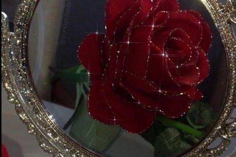 Alivia Elle_ 完璧なモデル 写真