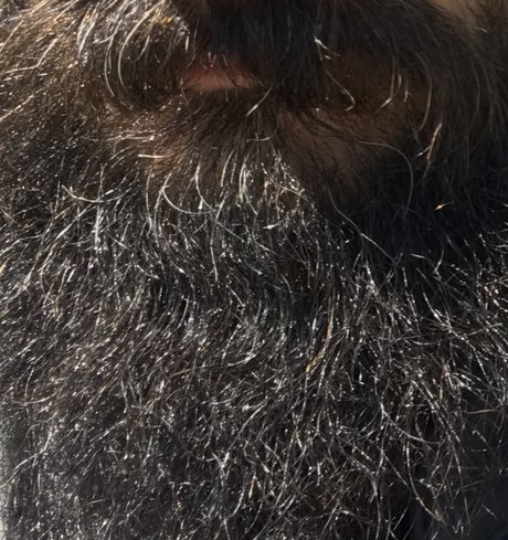 306 hardluck HDスター 画像