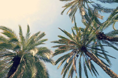 Tootiee_ ポルノスター 写真