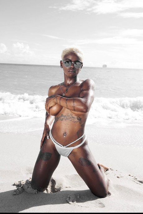 African Delight_ 最高のポルノスター 画像