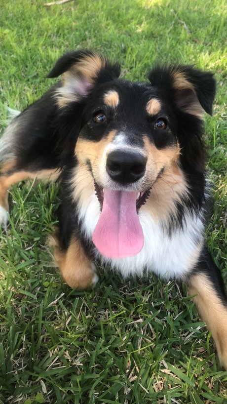 OnlyPaws 女優 写真