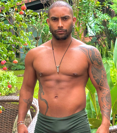 Guto セックススター 写真