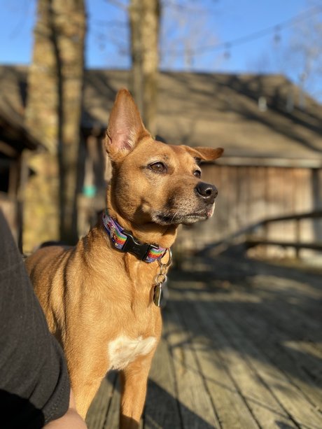 Kat G アダルトモデル 写真