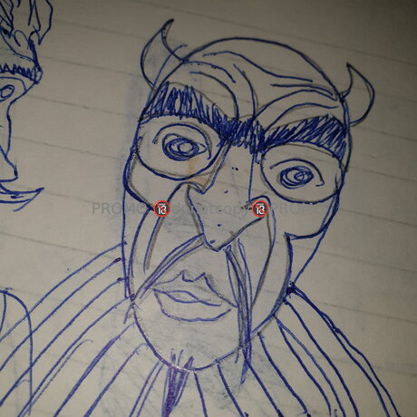 ガレガオンリーファンズ ベスト 画像