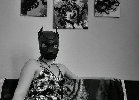 OneStretchyPup 美しいポルノスター 写真