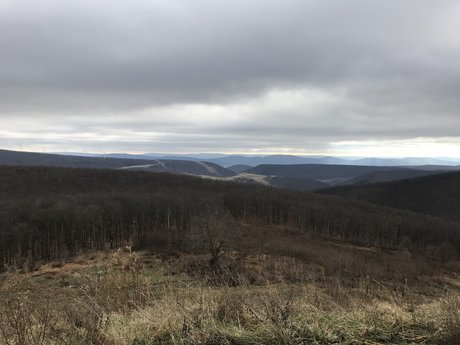 Papa_ 素敵なモデル 画像