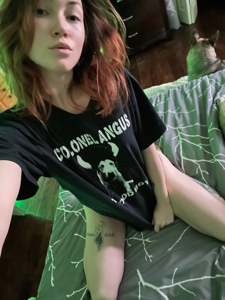 Acascia Dallas スター 写真