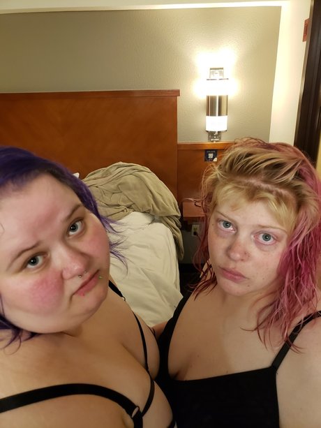 Alice The Cat セクシーなスター 写真