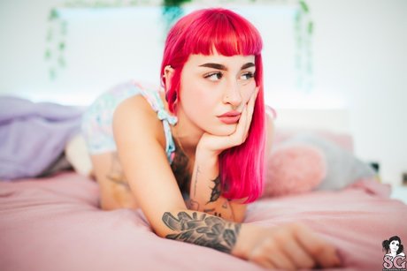 大きな黒い猫OnlyFans 美しいポルノ 写真