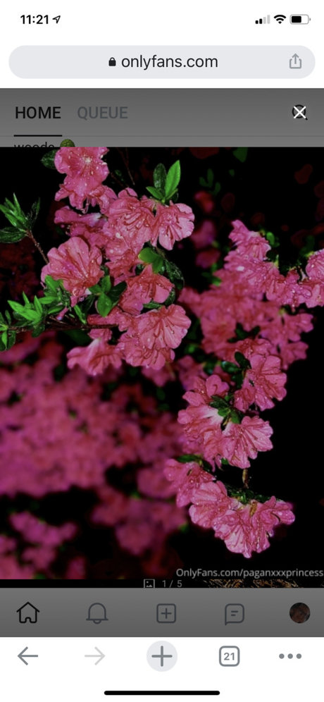 Joanna Belle 高品質モデル 画像