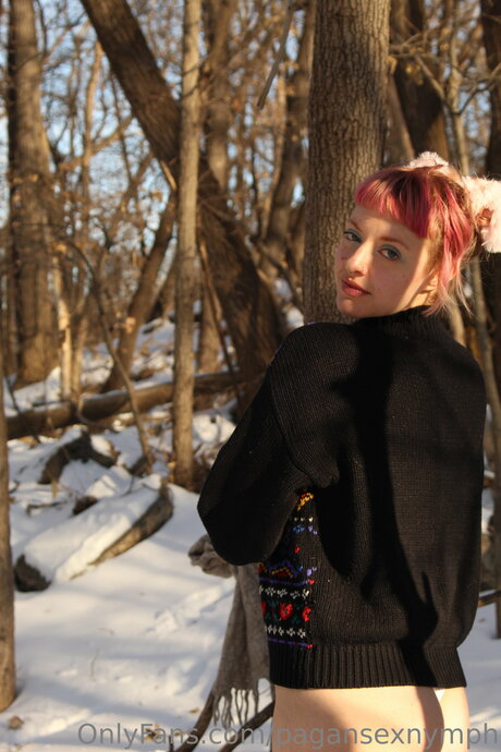 Kitten Nymph 素敵なスター 写真