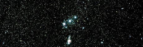 Nex ポルノスター 写真