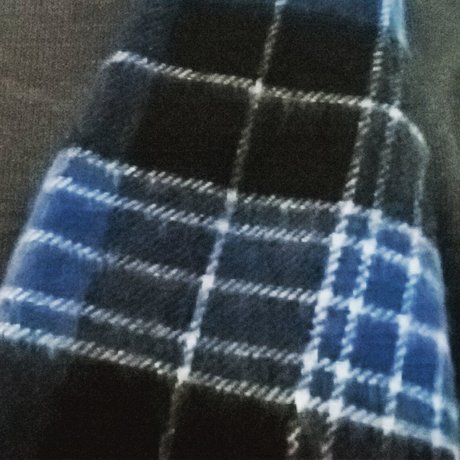 Orange Wingman アートモデル 写真