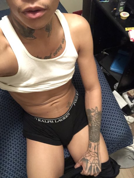 Ace Chilly 素敵なスター 写真