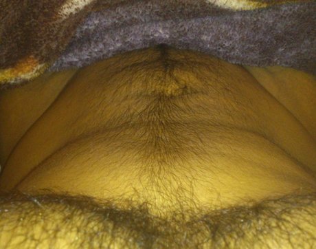 Angel Acevedo HD女優 画像