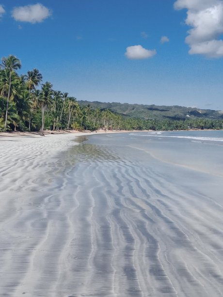 Patsy Labone ポルノスター ヌード 写真