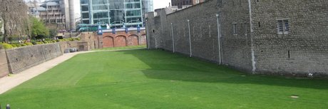 Patrick Duru xxxスター 画像