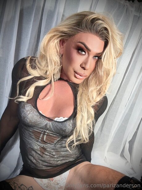 Parizanderson アートモデル 画像