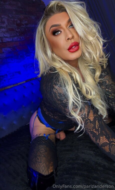 Parizanderson アートモデル 写真