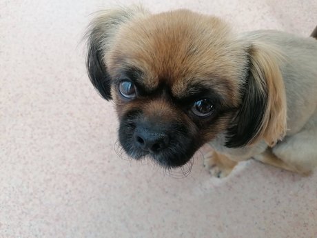 Sugar Addict アート女優 写真