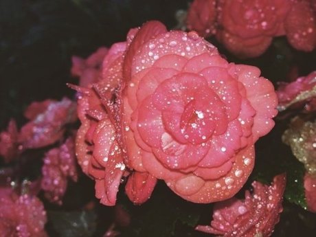 peachy babe ホットモデル 画像