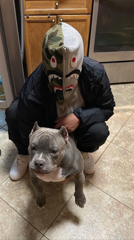 Francesco ポルノスター 写真