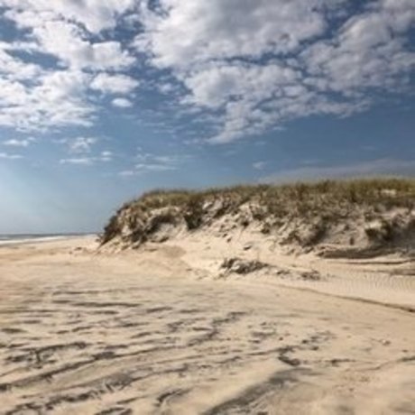 beach bum 102019 スターセックス 写真