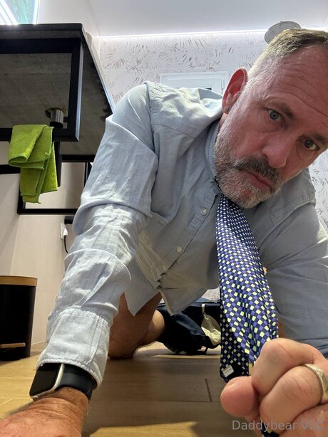 Daddy bear 美しいスター 画像