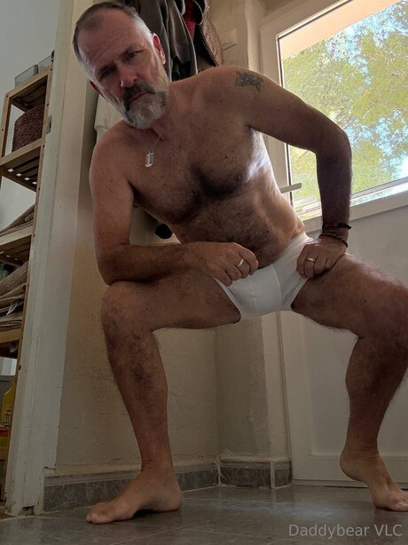 Daddy bear 素敵なスター 写真