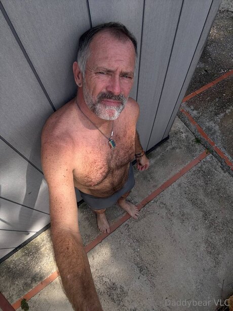 Daddy bear 高品質のポルノスター 画像